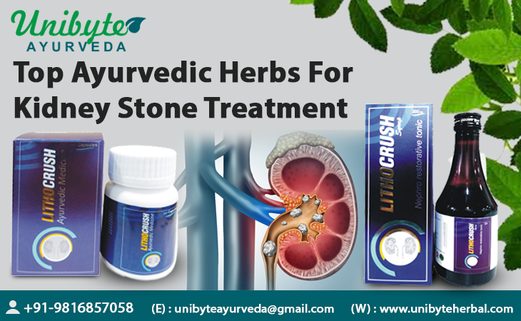 Top Ayurvedic Herbs For Kidney Stone Treatment