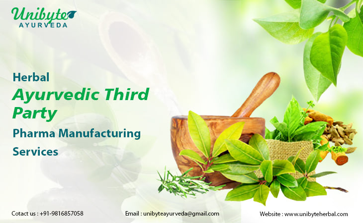 Ayurvedic Medicine Manufacturer in Baddi
